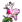 Rododendron.png